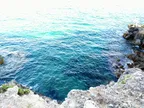 Mare, mare, mare thumbnail