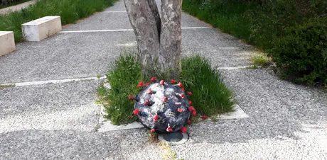 Fototagliata.jpg