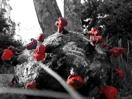 finitoColorSplash copia.jpg