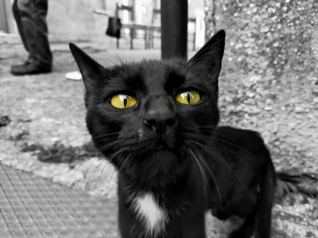 IMG20200919172201.jpg