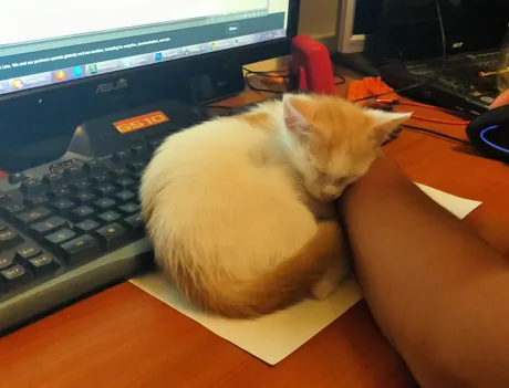 computerCuki.jpg