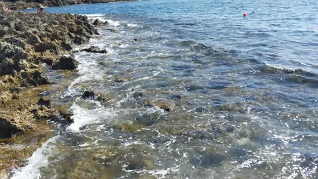IMG20210820101545.jpg