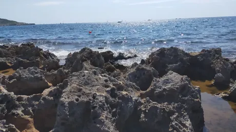 IMG20210820102826.jpg