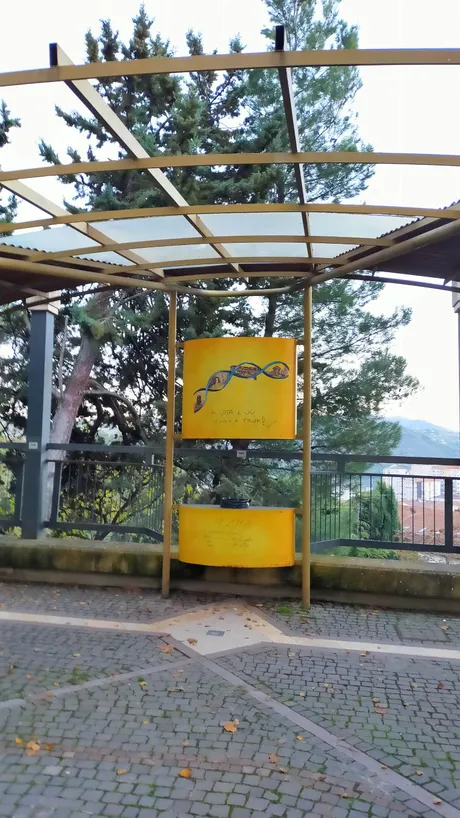 42.jpg
