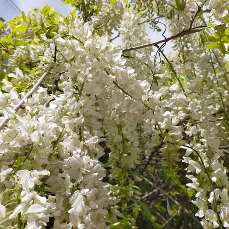 IMG20210523133457.jpg