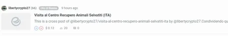 immagine.png