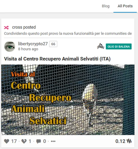immagine.png