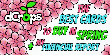DcropsSpringMyFinancialReport8.jpg
