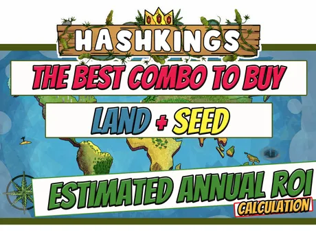 HashkingsTheBestComboToBuy2023.jpg