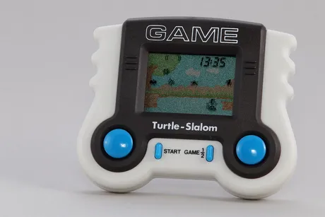 turtle3831990_1280.jpg