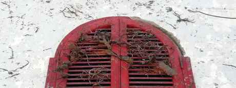 detail2.jpg