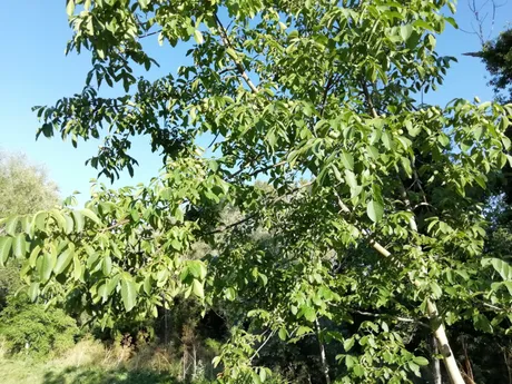 IMG_20190714_191223.jpg
