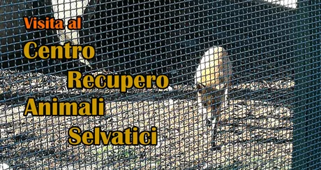 CopertinaSecondaVersione copia.jpg