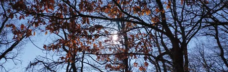 IMG20200117112317.jpg